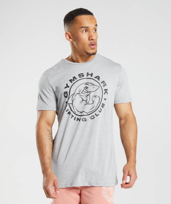 Panske Tricka Gymshark Legacy Svetlo Siva | OT9583270